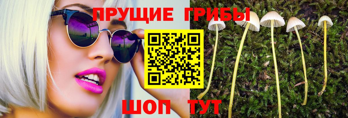 Галлюциногенные грибы GOLDEN TEACHER Мыски