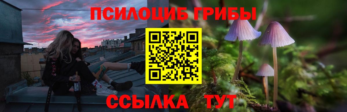 магазин продажи   Галлюциногенные грибы Psilocybine cubensis  Вход с VPN  Мыски  Галлюциногенные грибы мицелий 